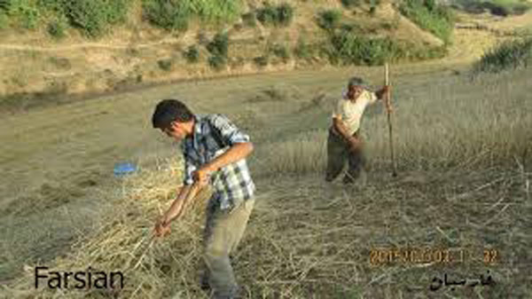 images-6