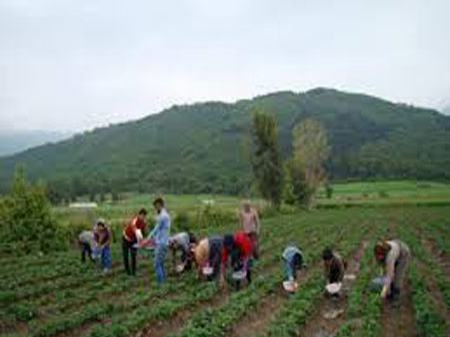 images-5
