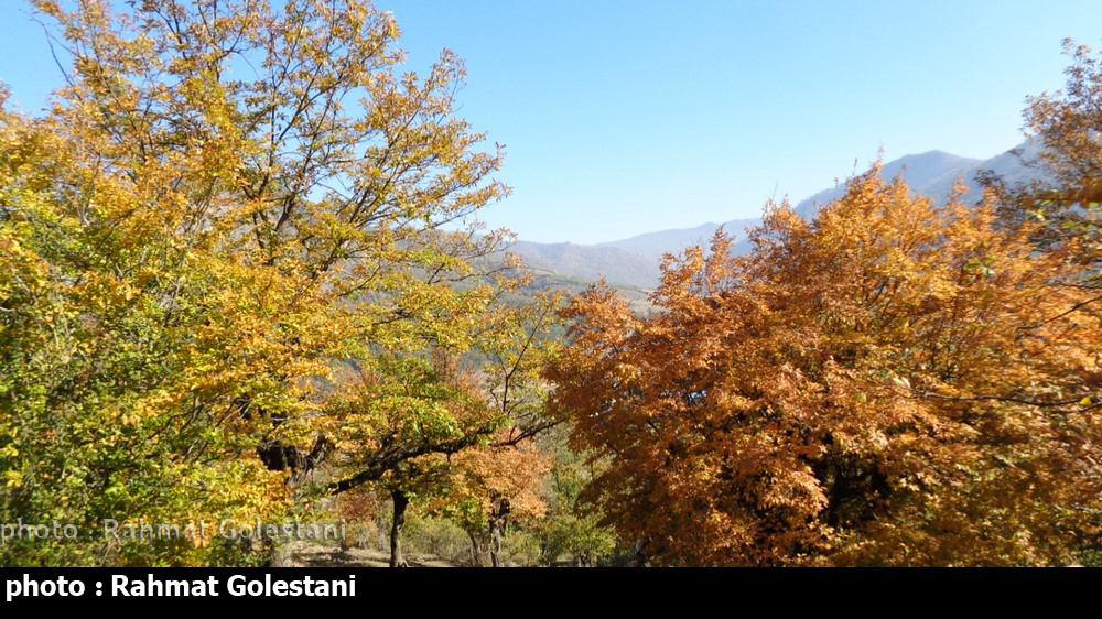 photo 2016 11 11 19 45 41