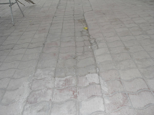 SDC10812